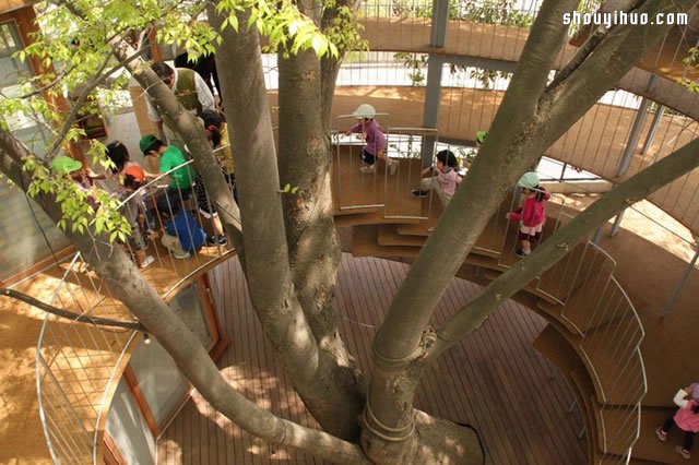 大树幼儿园设计 学会与自然一同嬉戏