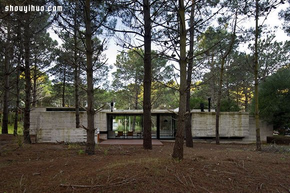 阿根廷丛林地带混凝土材质别墅住宅装修设计