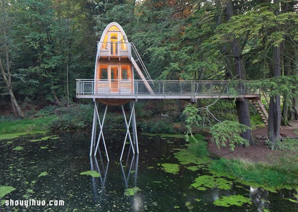 旧茅屋改造成的站立湖中的奇怪树屋