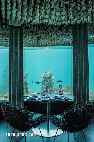 梦幻美丽的水下餐厅 就在渡假胜地马尔地夫