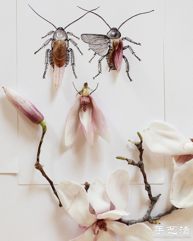 花朵与简笔画结合DIY奇妙昆虫图案