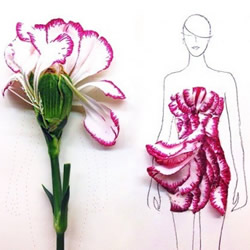创意花瓣拼画DIY 让简单素描变身时尚女郎