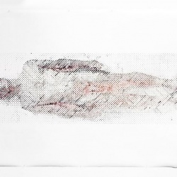 纽约艺术家Ted Lawson用鲜血画出裸体肖像