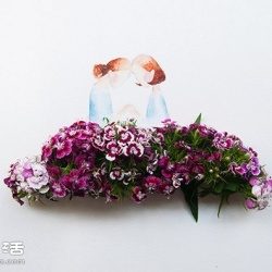 创意DIY：鲜花+绘画 讲述妈妈的一生