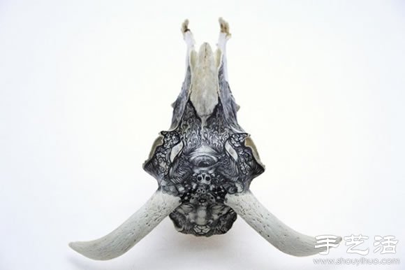 动物骨头、石头上DIY的奇幻手绘