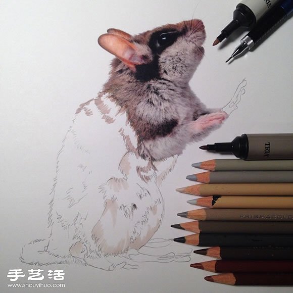 普通画笔手绘出栩栩如生的动物画作
