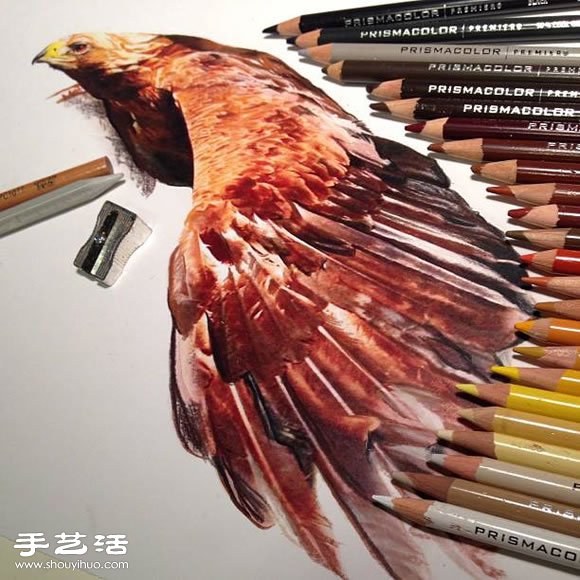 普通画笔手绘出栩栩如生的动物画作