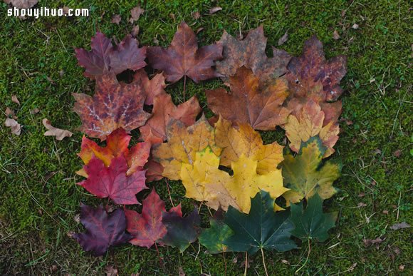 秋日冒险季 一起来DIY回归自然的大地艺术
