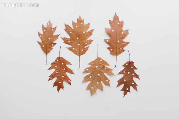 秋日冒险季 一起来DIY回归自然的大地艺术