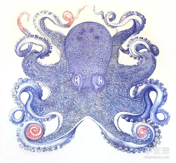 耗时一年，用圆珠笔画出写实霸气的巨型章鱼