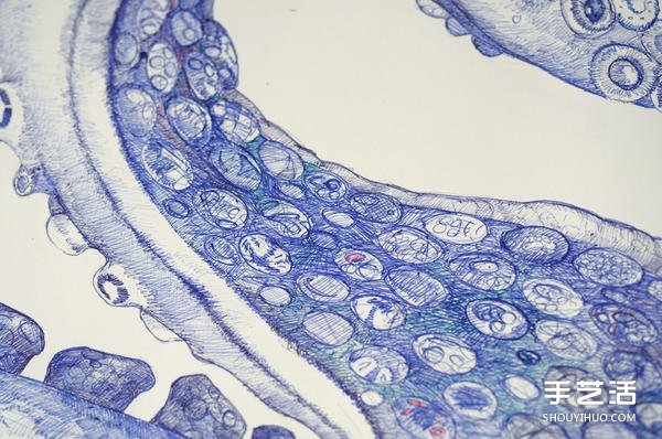 耗时一年，用圆珠笔画出写实霸气的巨型章鱼