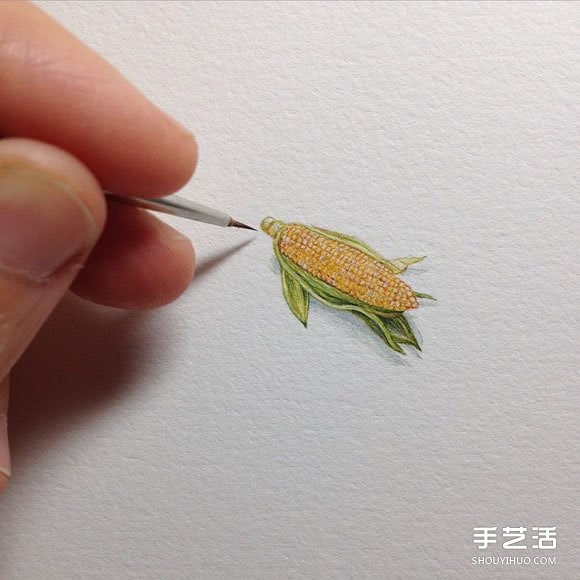 精细的微型插画 挑战细致的极限