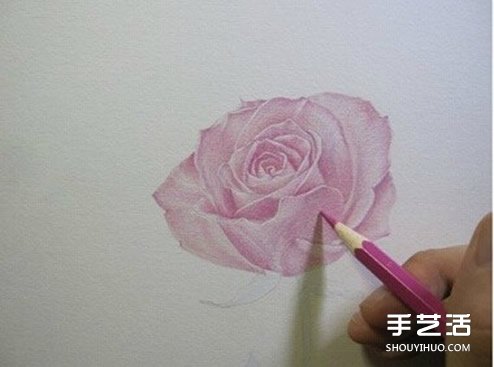 彩铅玫瑰花的画法步骤 玫瑰花彩色铅笔画教程