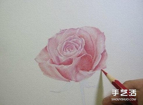 彩铅玫瑰花的画法步骤 玫瑰花彩色铅笔画教程