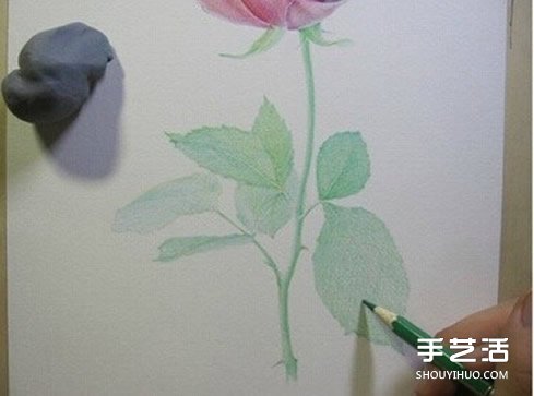 彩铅玫瑰花的画法步骤 玫瑰花彩色铅笔画教程