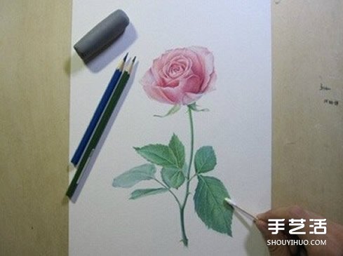 彩铅玫瑰花的画法步骤 玫瑰花彩色铅笔画教程