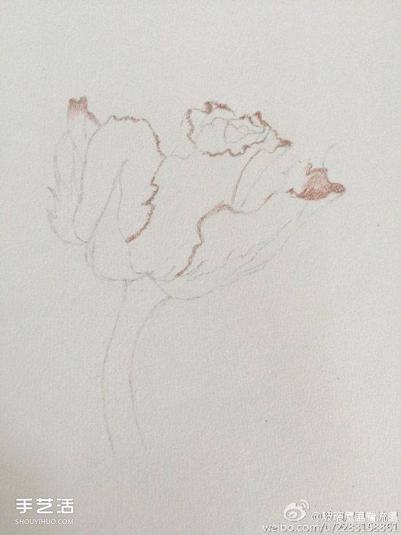 彩铅画花卉绘画教程 花朵彩铅画的画法步骤