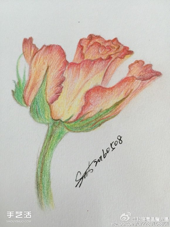 彩铅画花卉绘画教程 花朵彩铅画的画法步骤
