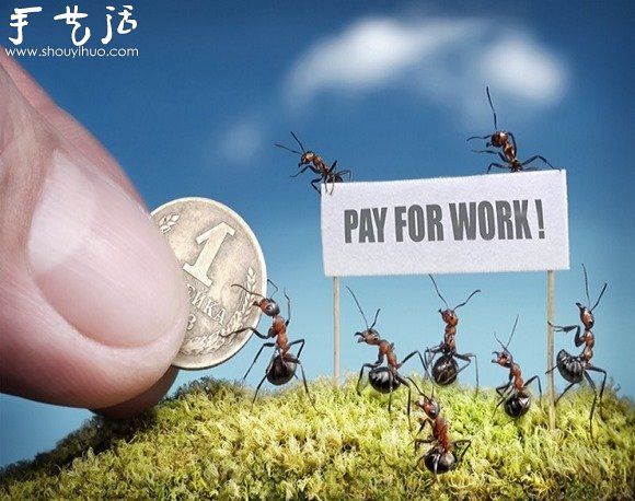 微距摄影：蚂蚁的神奇世界