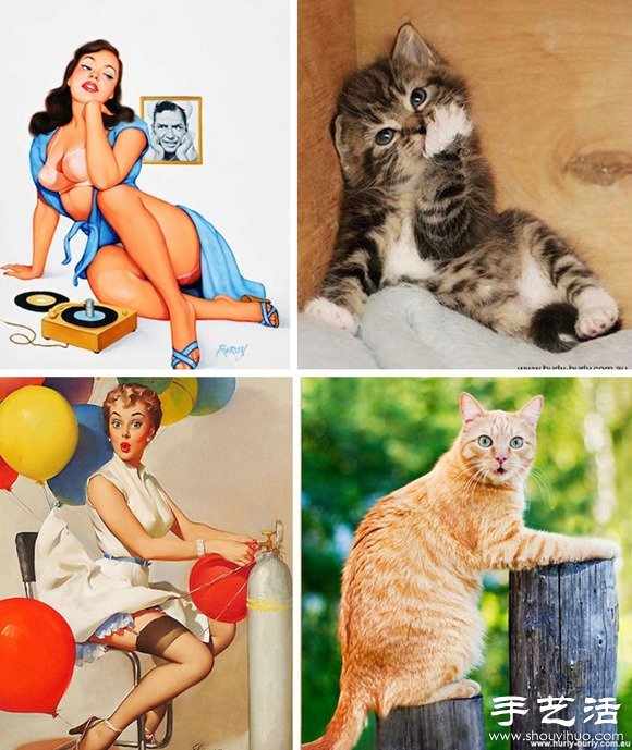 性感女郎PK猫咪 DIY超有趣的照片对比