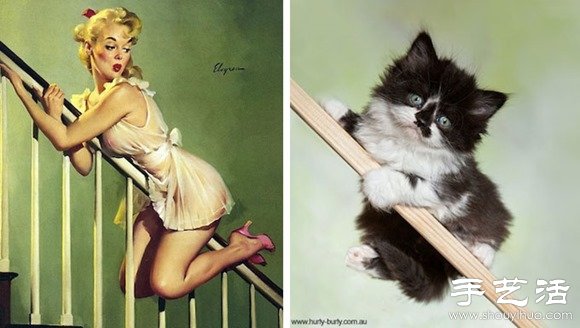 性感女郎PK猫咪 DIY超有趣的照片对比