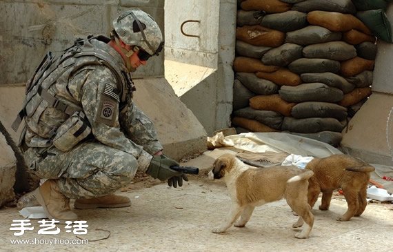 42张照片记录撼动人心的纯真人性瞬间