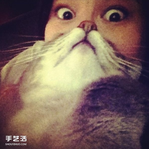 好笑的自拍照片 利用宠物猫拍出可爱大胡子