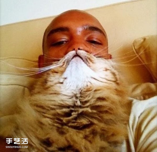 好笑的自拍照片 利用宠物猫拍出可爱大胡子