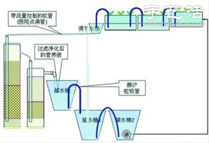 超详细水培种菜教程 家里也可以方便种菜啦！