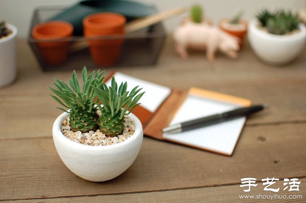 DIY萌死人的仙人掌盆栽