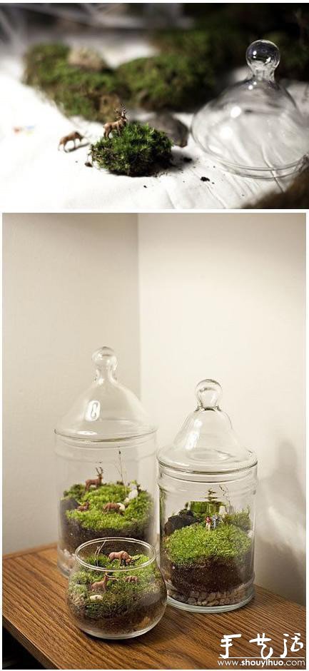 手工DIY苔藓盆景的教程