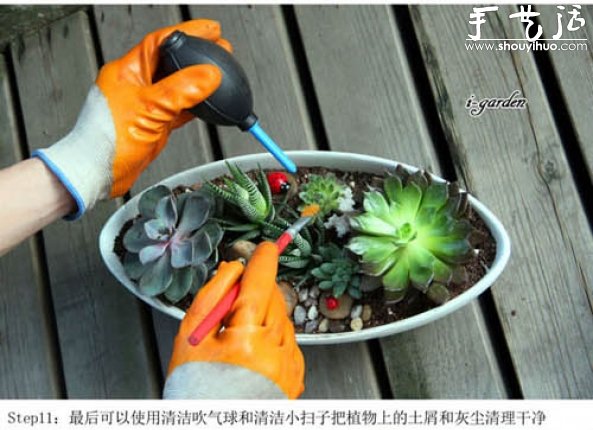 多肉植物手工盆栽DIY