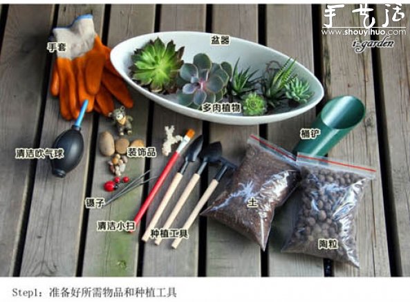 多肉植物手工盆栽DIY