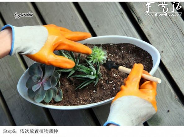 多肉植物手工盆栽DIY