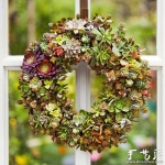 DIY漂亮多肉植物花环 装饰温馨家居生活