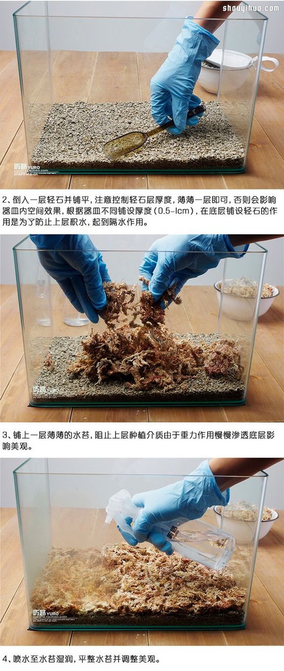 苔藓微景观制作材料及方法详细图解教程