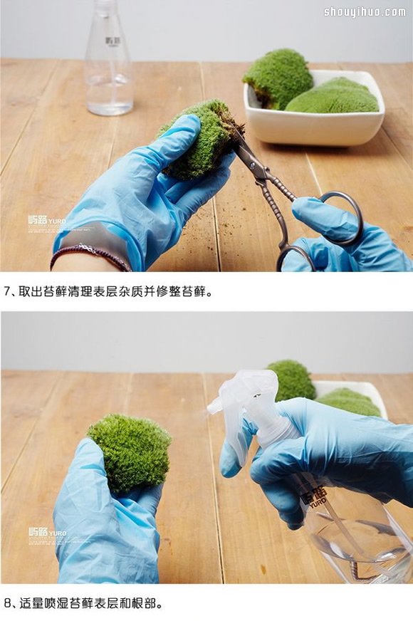 苔藓微景观制作材料及方法详细图解教程