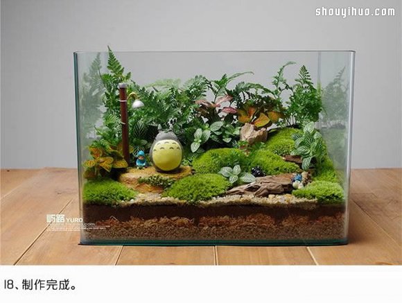 苔藓微景观制作材料及方法详细图解教程