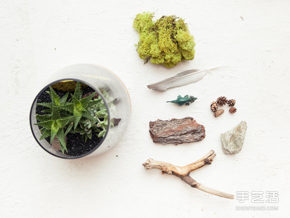 自制小清新多肉植物栽培罐的方法教程