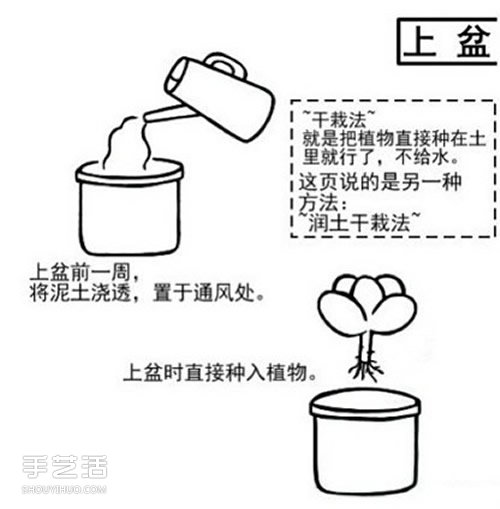 多肉植物怎么样 多肉植物的养殖方法和注意事项