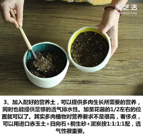 多肉植物种植方法图解 多肉植物拼盘制作教程