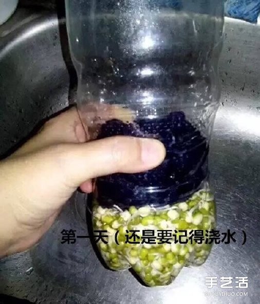 可乐瓶子种豆芽的方法 家庭种豆芽的简单教程