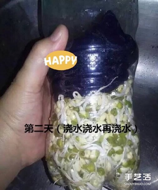 可乐瓶子种豆芽的方法 家庭种豆芽的简单教程