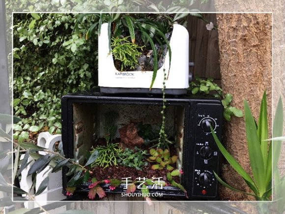 旧烤箱废物利用 改造成园艺盆景的小制作方法