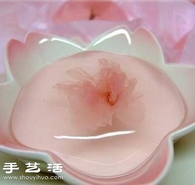 漂亮精致的日本樱花果冻