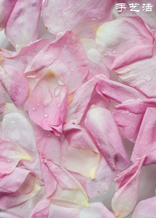 玫瑰花瓣DIY沐浴用品 美白保养娇嫩肌肤
