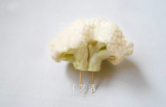 花菜手工制作贵宾犬 简单又可爱花菜贵宾犬DIY