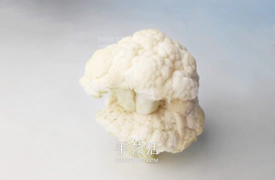 花菜手工制作贵宾犬 简单又可爱花菜贵宾犬DIY