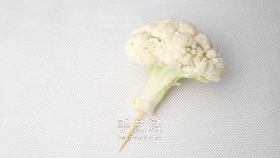 花菜手工制作贵宾犬 简单又可爱花菜贵宾犬DIY