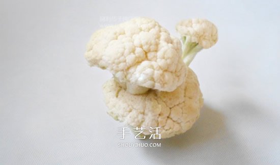 花菜手工制作贵宾犬 简单又可爱花菜贵宾犬DIY